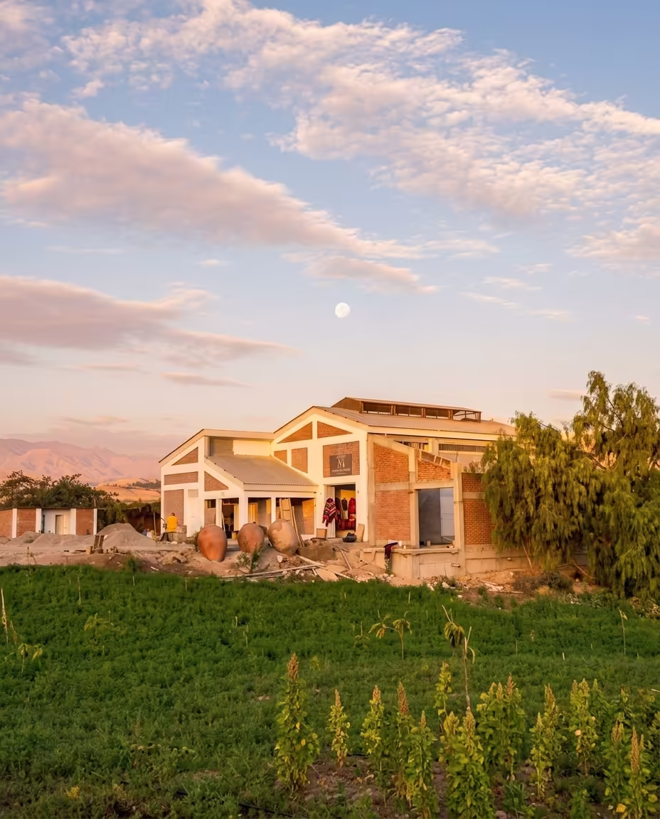 Bodega Manchego - El Valle - Origen de nuestra tradición